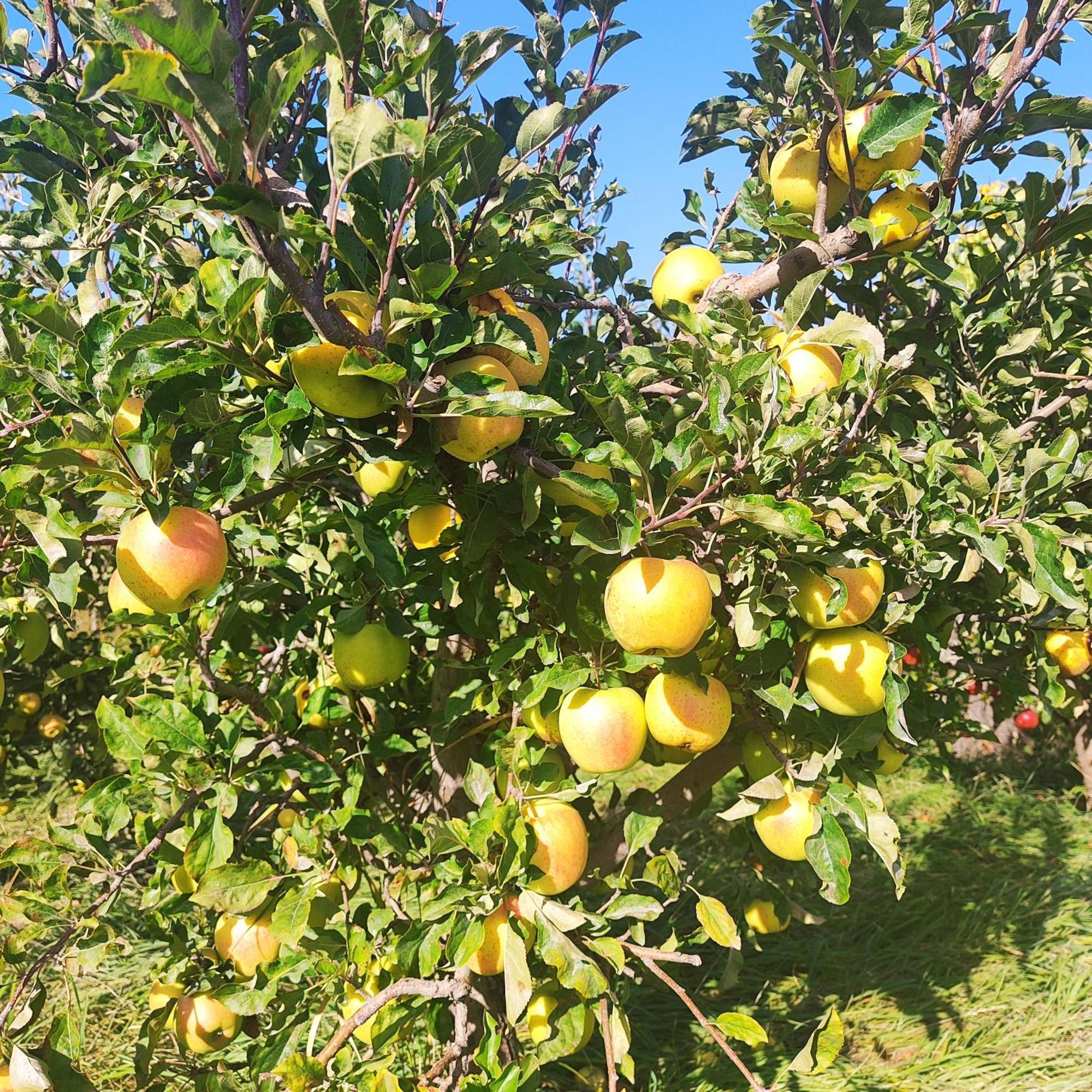 Nurnus Lanj In Eco Garden/ Guest House מראה חיצוני תמונה