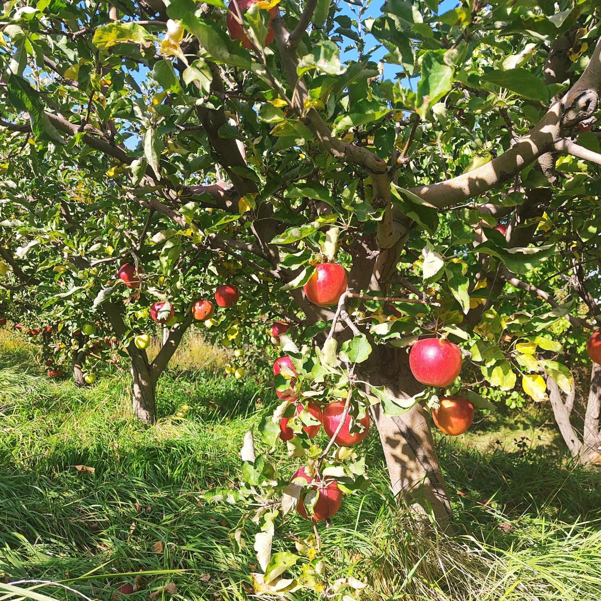 Nurnus Lanj In Eco Garden/ Guest House מראה חיצוני תמונה