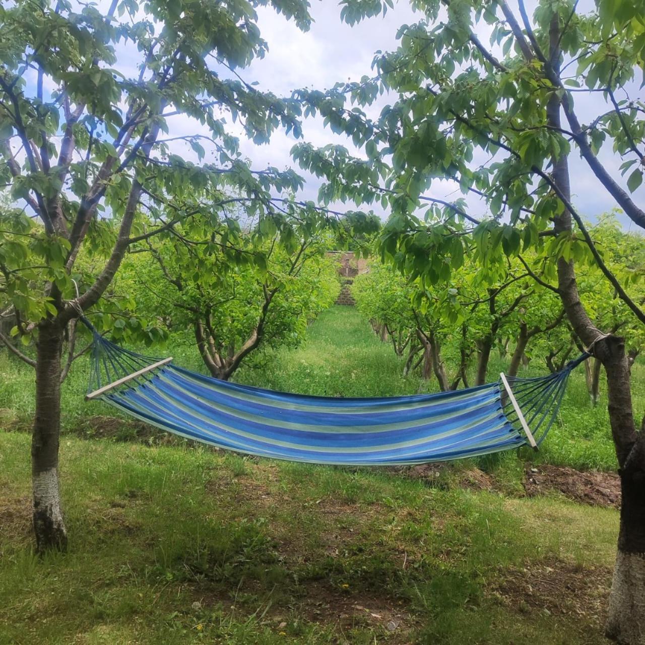 Nurnus Lanj In Eco Garden/ Guest House מראה חיצוני תמונה